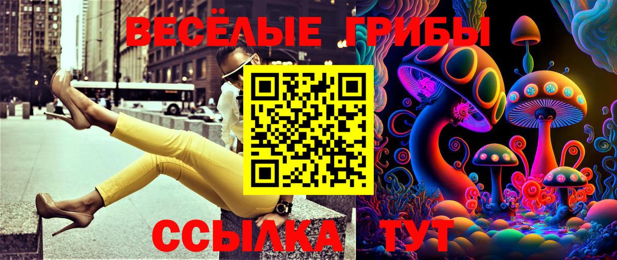 Галлюциногенные грибы GOLDEN TEACHER  Вход с VPN  Сертолово 