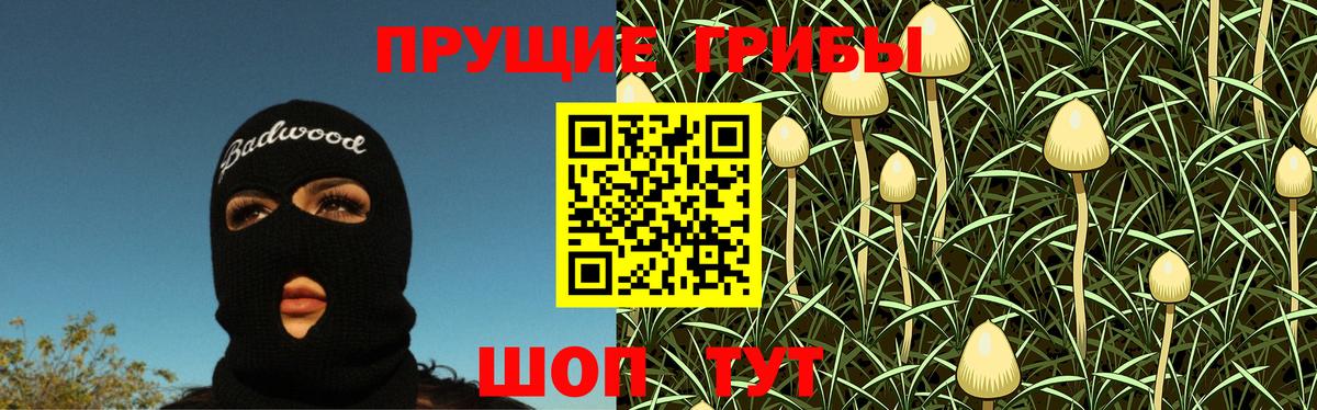 Псилоцибиновые грибы Cubensis Сертолово