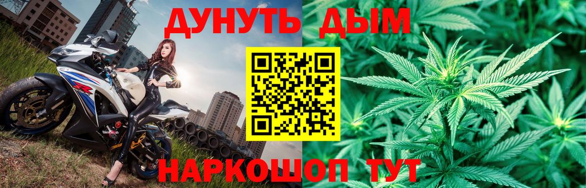 Канабис OG Kush Сертолово